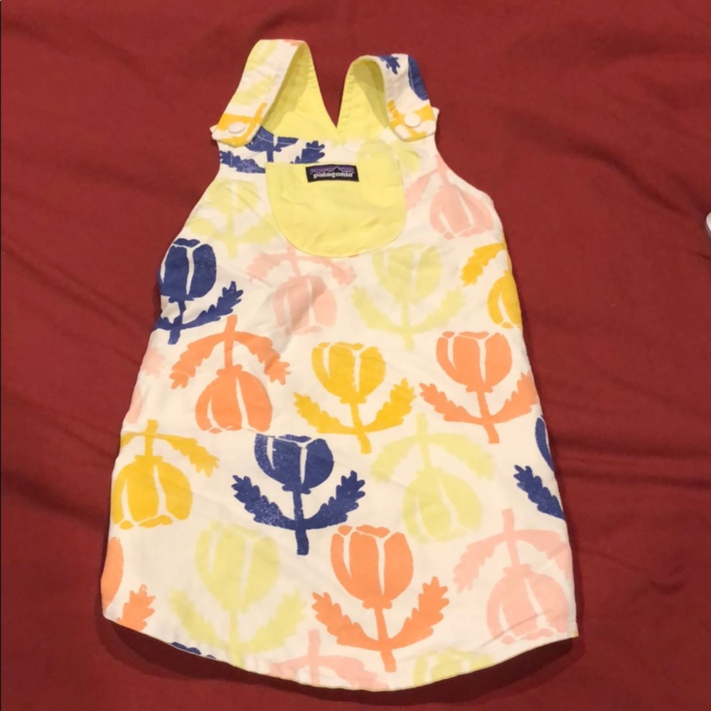 Patagonia Dress